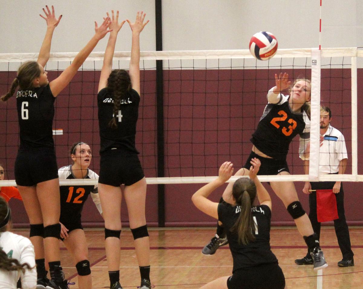 Bloomer volleyball rolls past Osceola to sectional finals Highschool