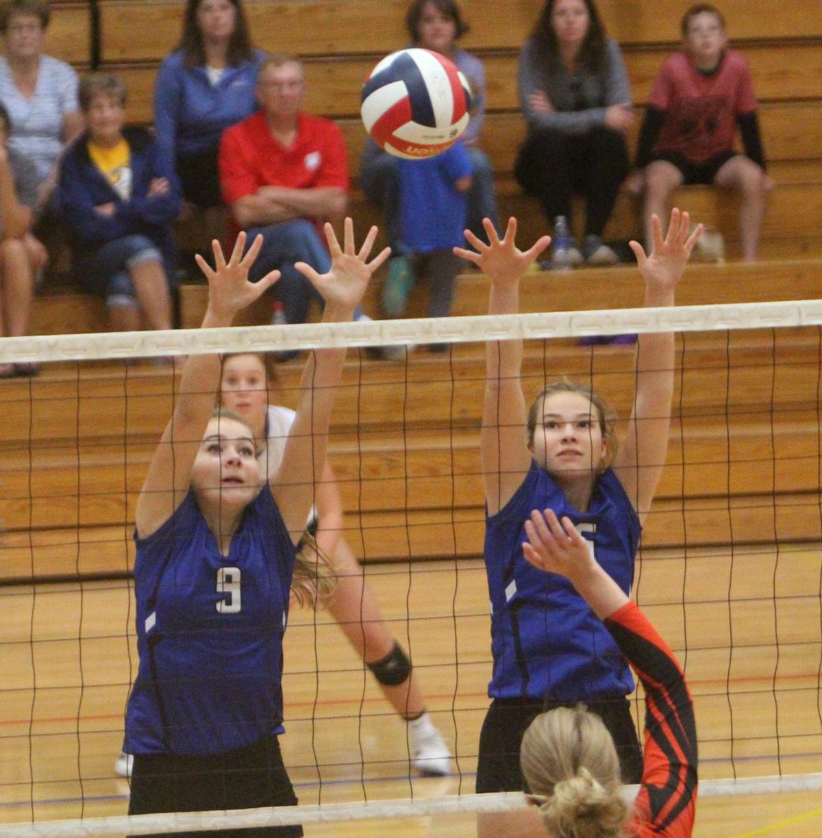 Debbie Roesler Memorial Invitational volleyball at McDonell 9-9-17