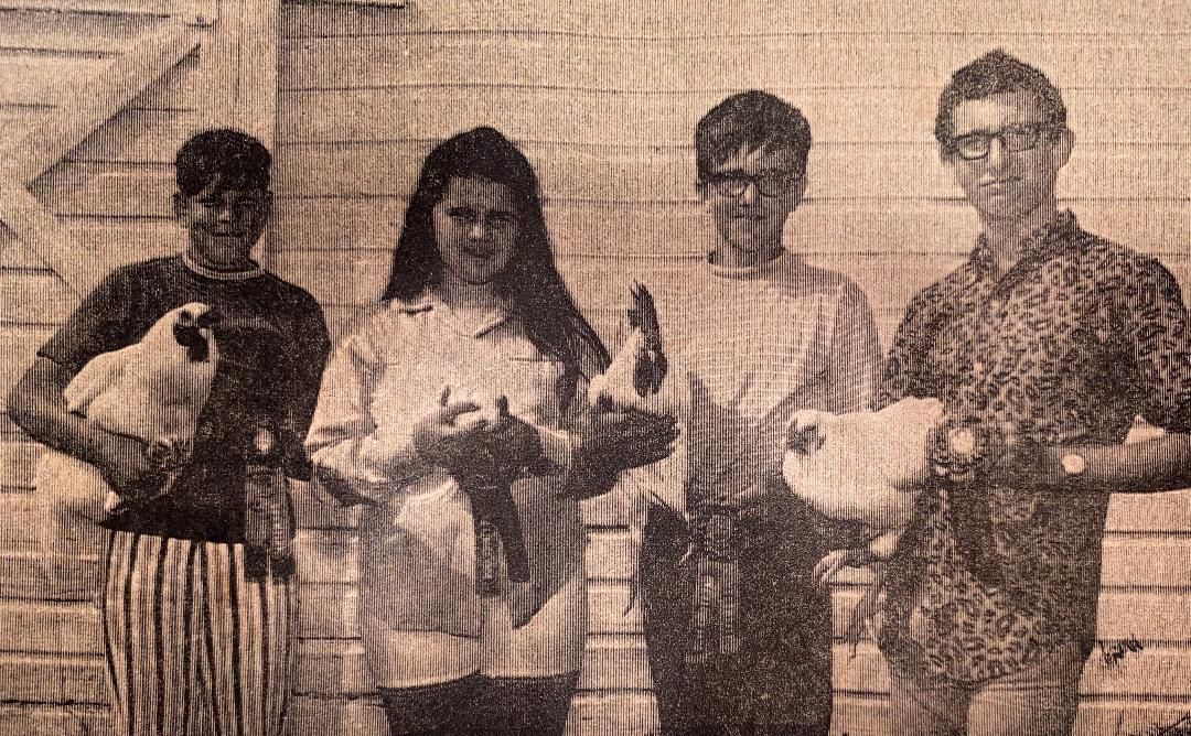 1970 poultry winners