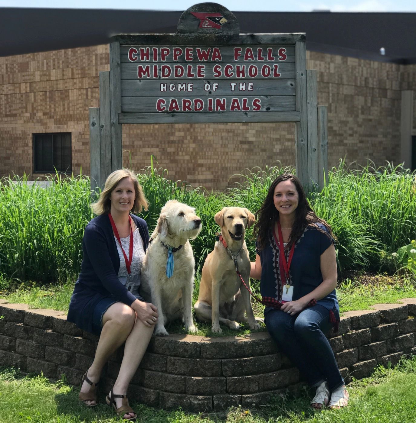 A paw pular way of comfort Chippewa Falls Middle School offers