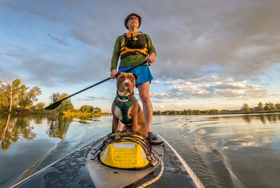 Perfect dog-friendly paddleboard adventures - Image