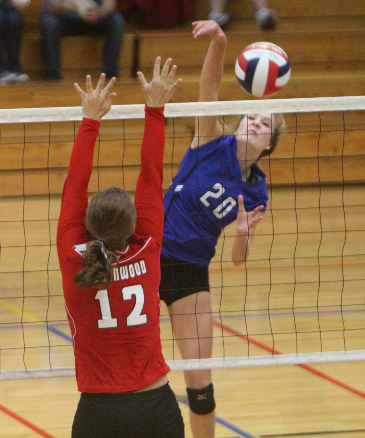 Debbie Roesler Memorial Invitational volleyball at McDonell 9-9-17