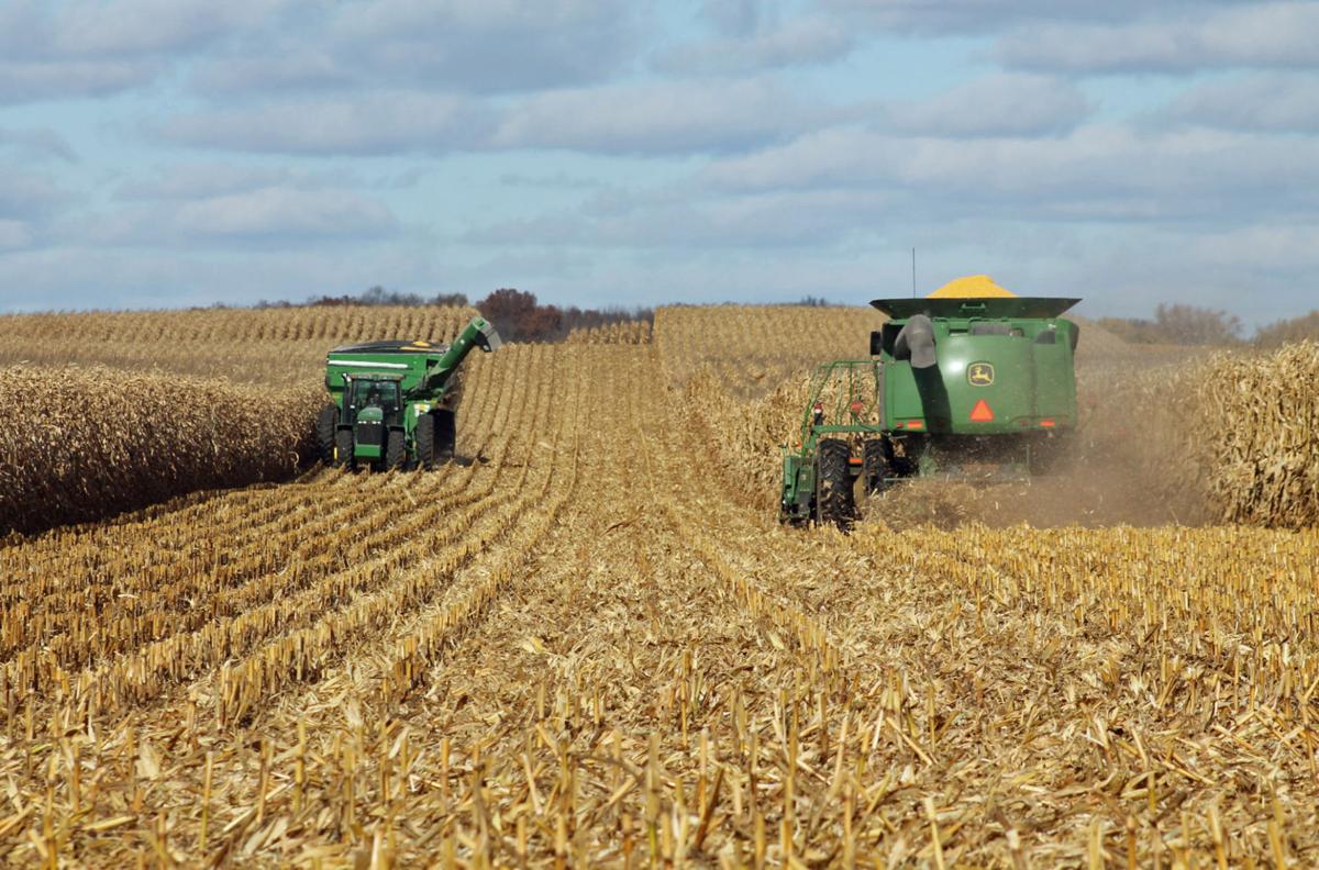 As ethanol cropland grew, carbon releases undercut climate goal, study ...
