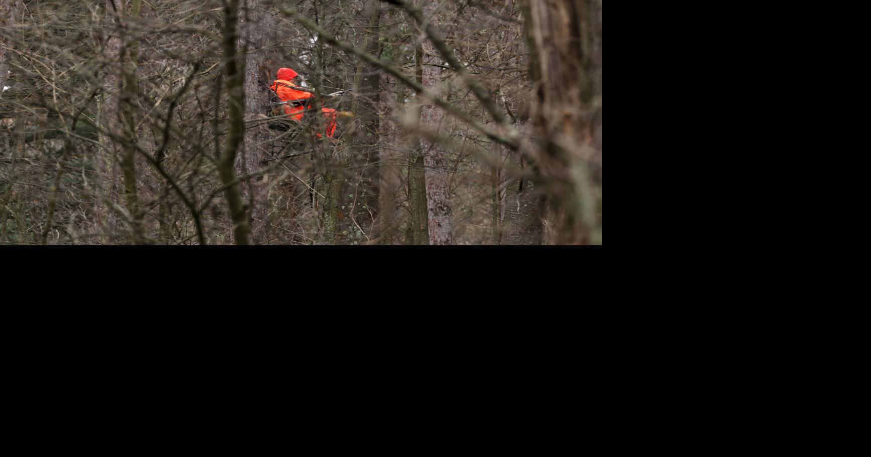 Chippewa Falls hunter injured in Washburn County accident