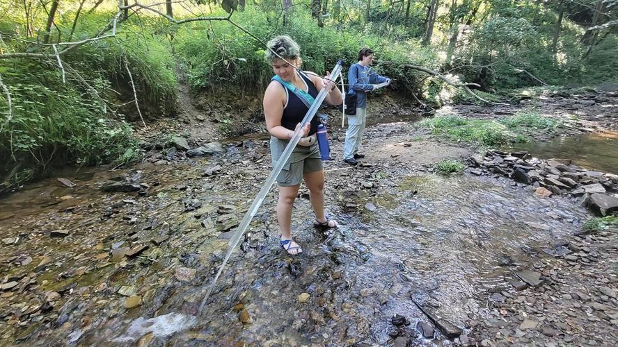 Measuring water clarity