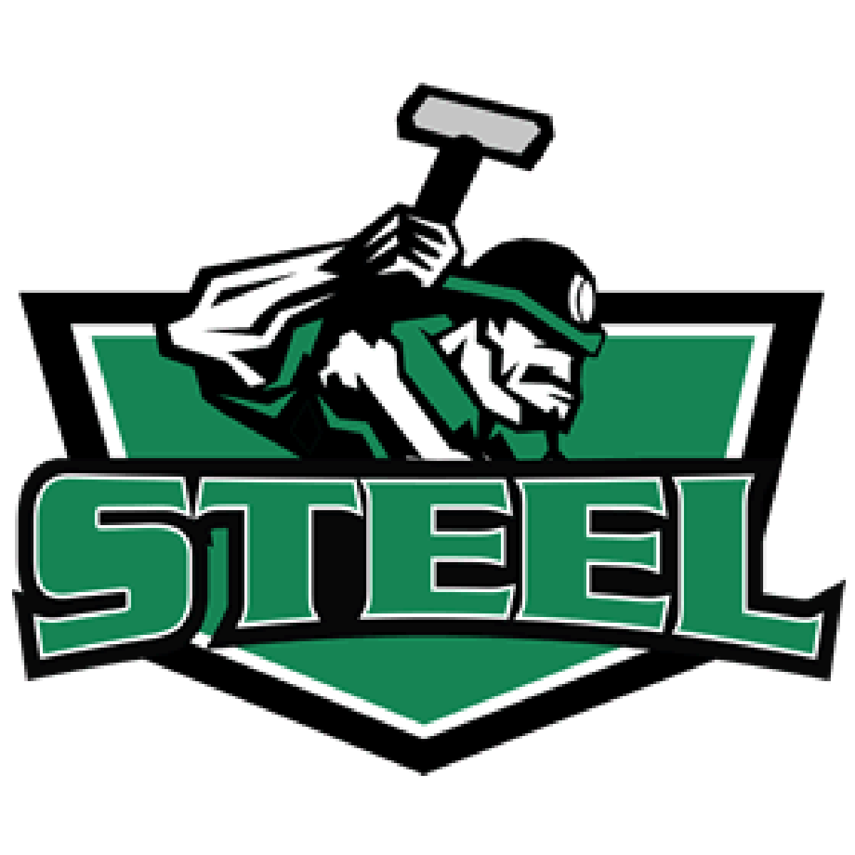 North American Hockey League Coulee Region Chill Sold Relocating To Chippewa Falls Local News Chippewa Com