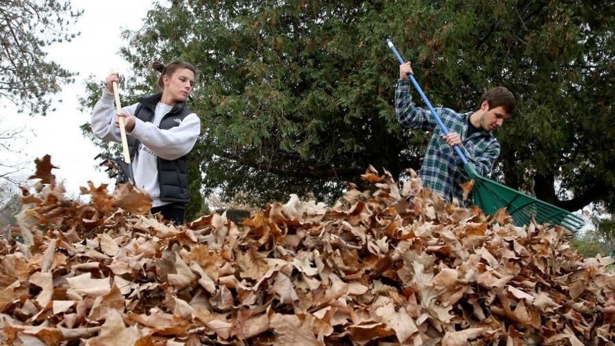 Students helping with fall yard cleanup