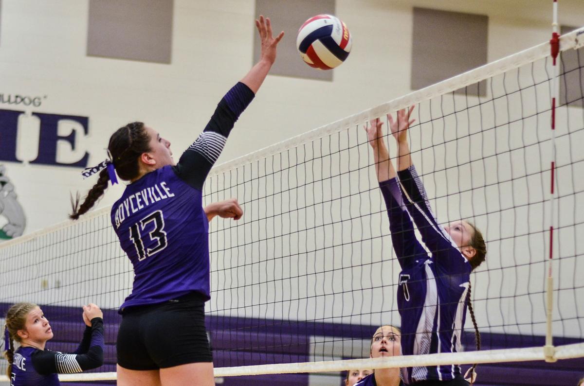 Bulldogs down Panthers in straight sets