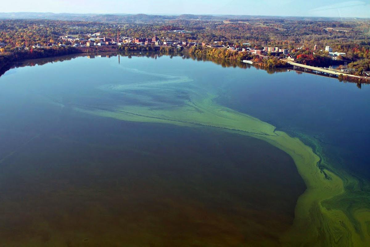 County gets first report of bluegreen algae illness