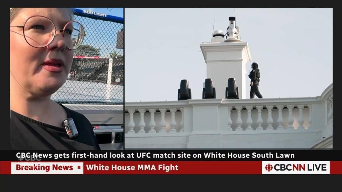 ‘Winning at all costs:’ Trump wraps himself in UFC’s bareknuckle image — GLOBAL — Aslikannih
