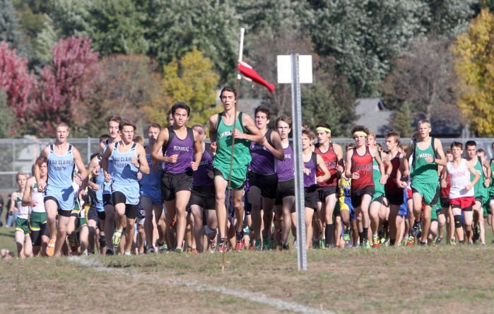 Photos: Chi-Hi, McDonell, Cadott At Old Abe Cross Country Invite 10-12-13