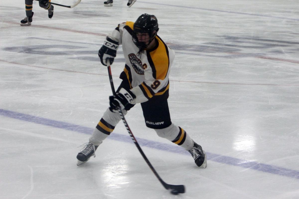 Photos Ashwaubenon at Menomonie boys hockey 122819 Sports