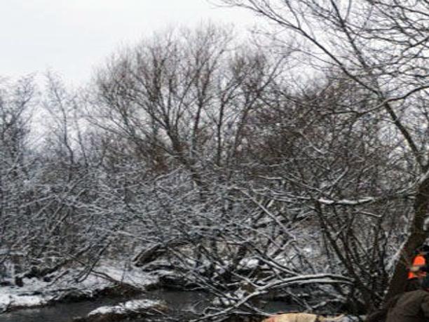 Dnr Conservation Group To Rehabilitate Stretch Of Hay Creek In