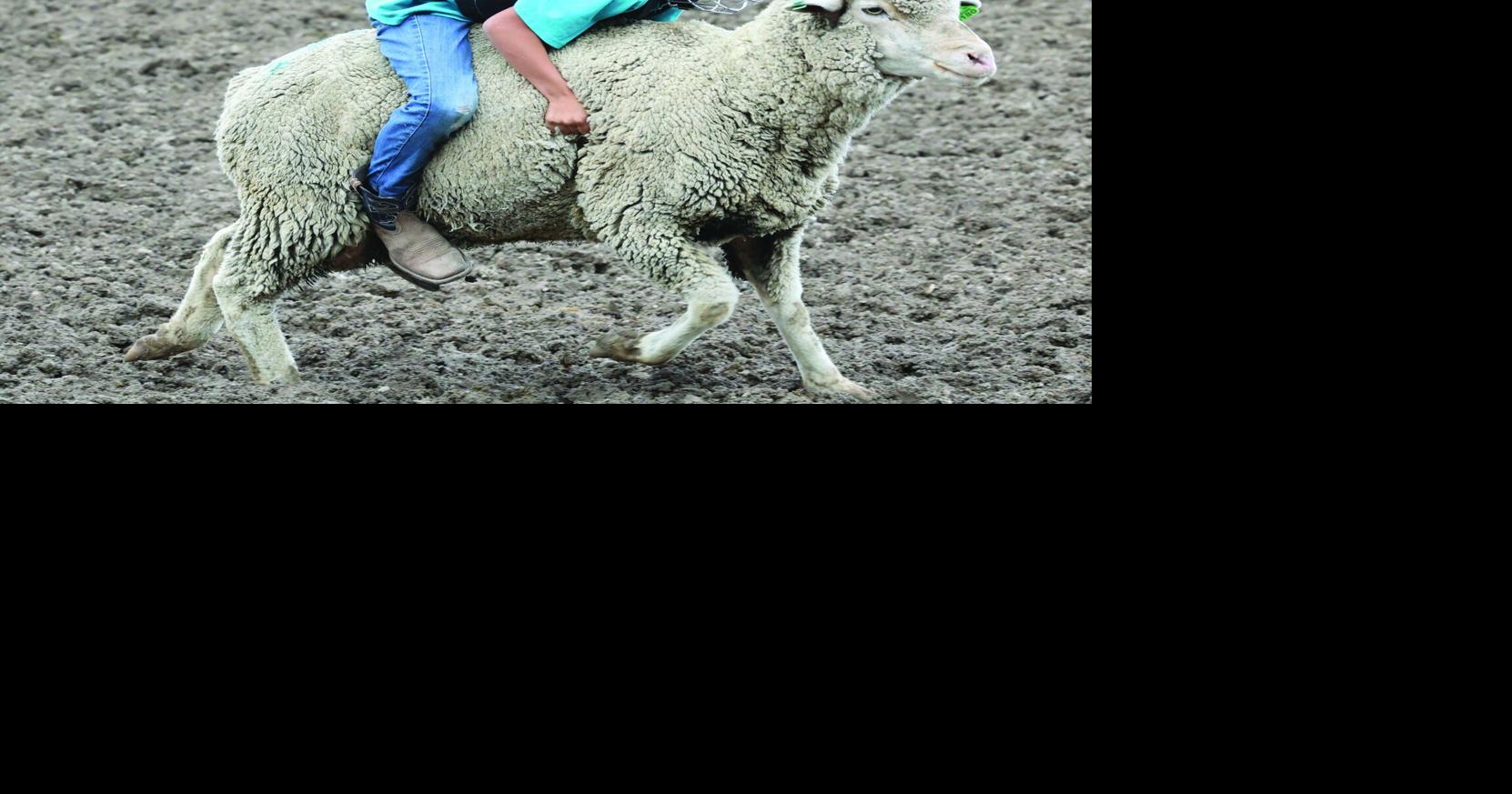Choteau Ranch Rodeo 2026