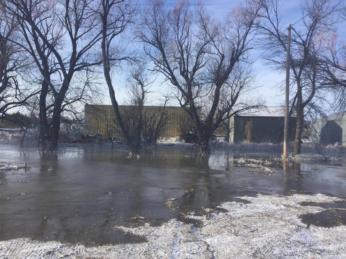 Spring Creek flooding continues News