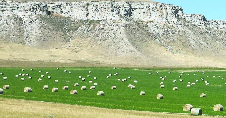 Drought High Input Affect Ranchers Hay Production News drought-high-input-affect-ranchers-hay-production-news