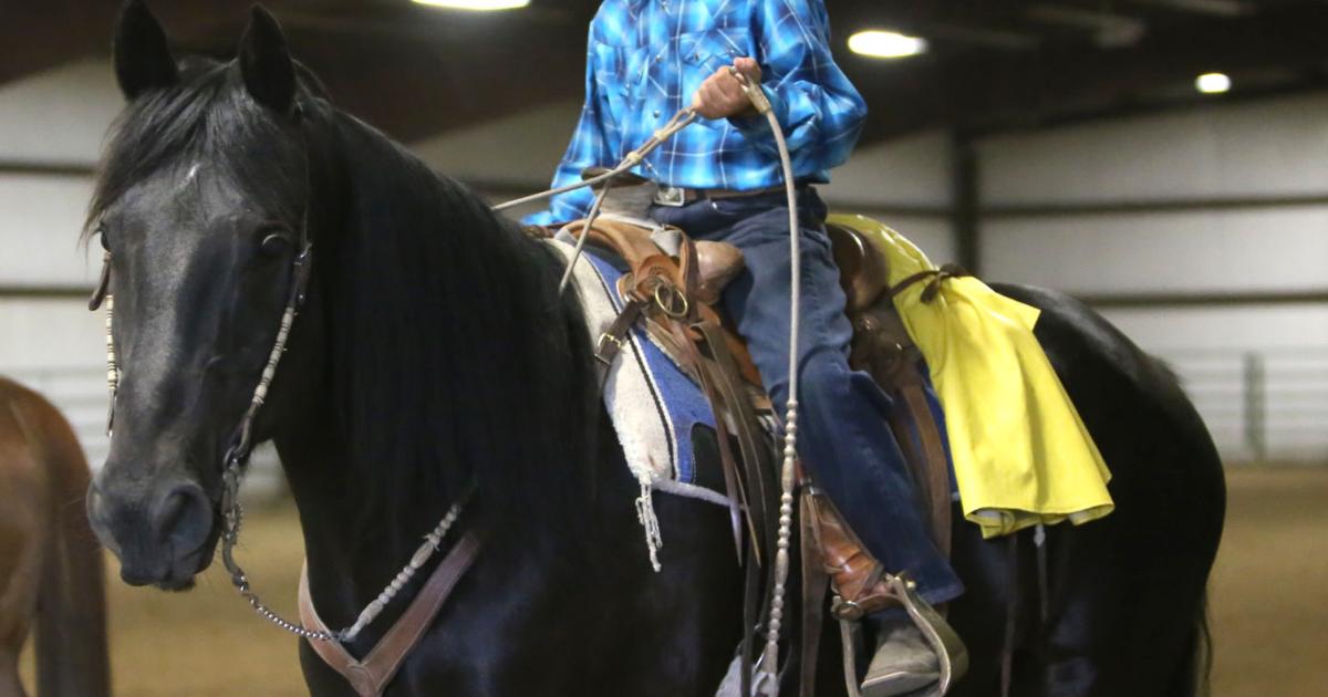 4-H Horse Show | | choteauacantha.com