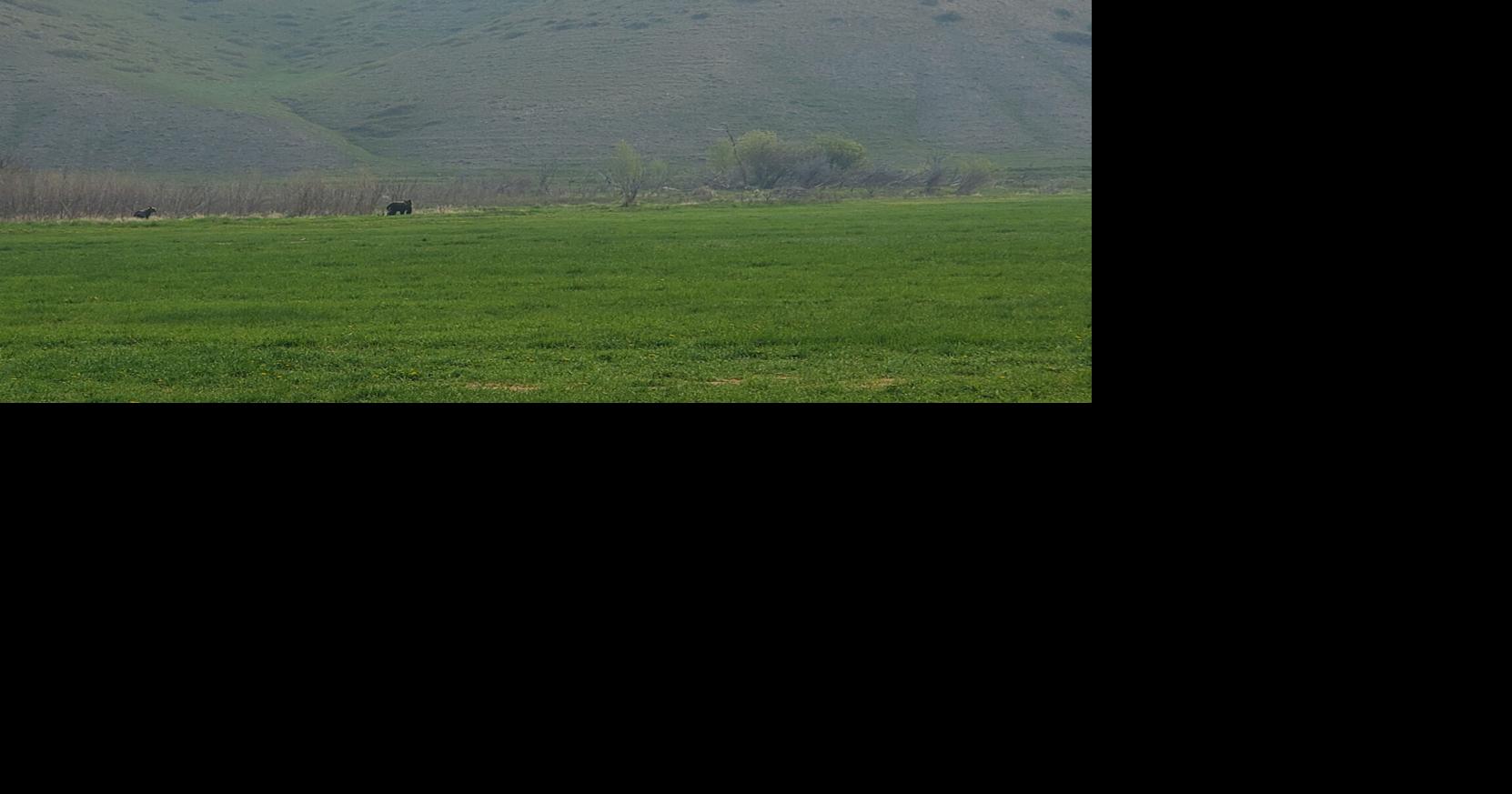 Fellows Ranch placed under easement