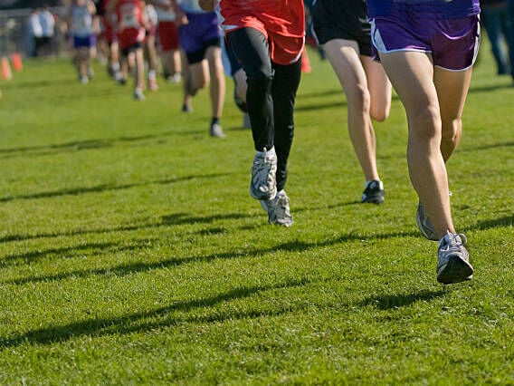 Tweet, Hodgskiss finish second
