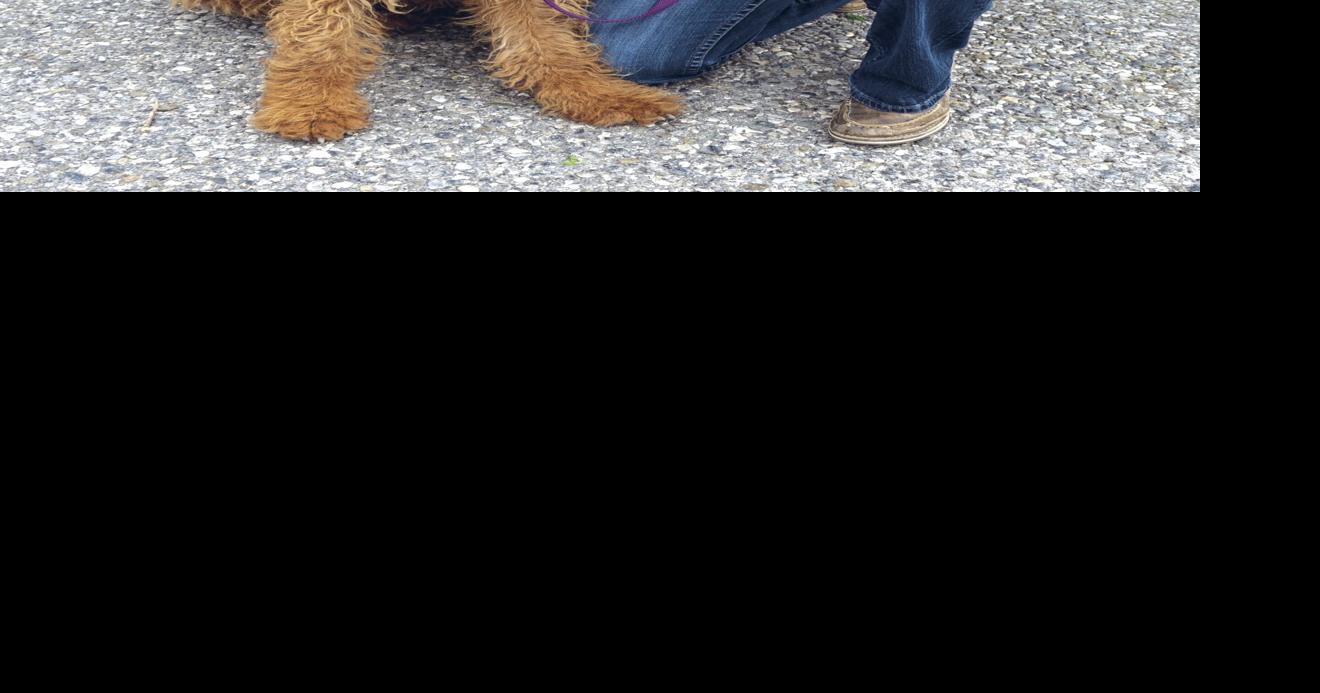 Maddie Comes joins Double Arrow Veterinary clinic News