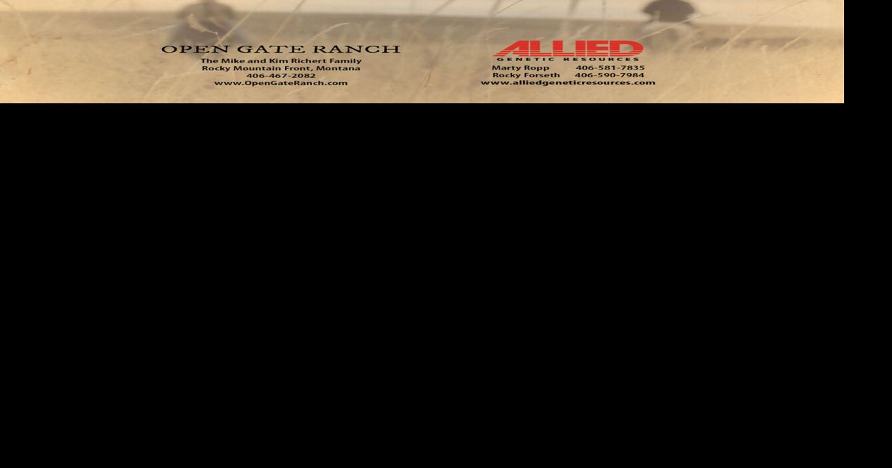 Open Gate Ranch bull sale | Calendar | choteauacantha.com