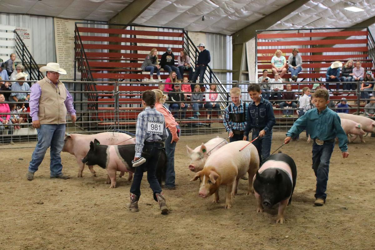 Choteau Mt County Fair 2022