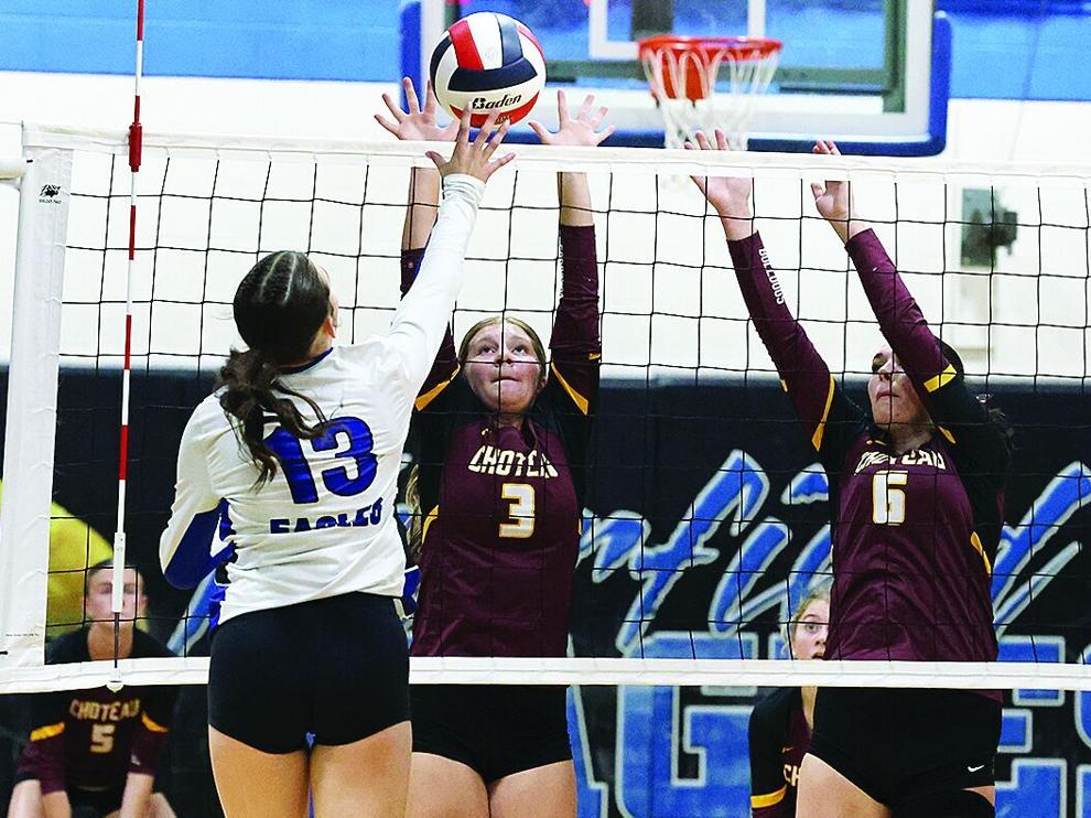 Lady Bulldogs to play two road matches