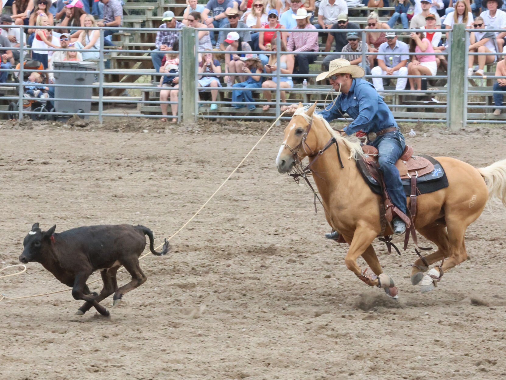 Choteau Rodeo 2025 | | choteauacantha.com