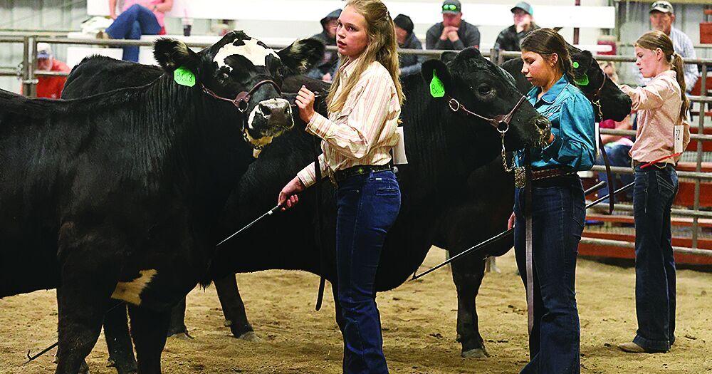 Teton County 4-H Fair highlights projects
