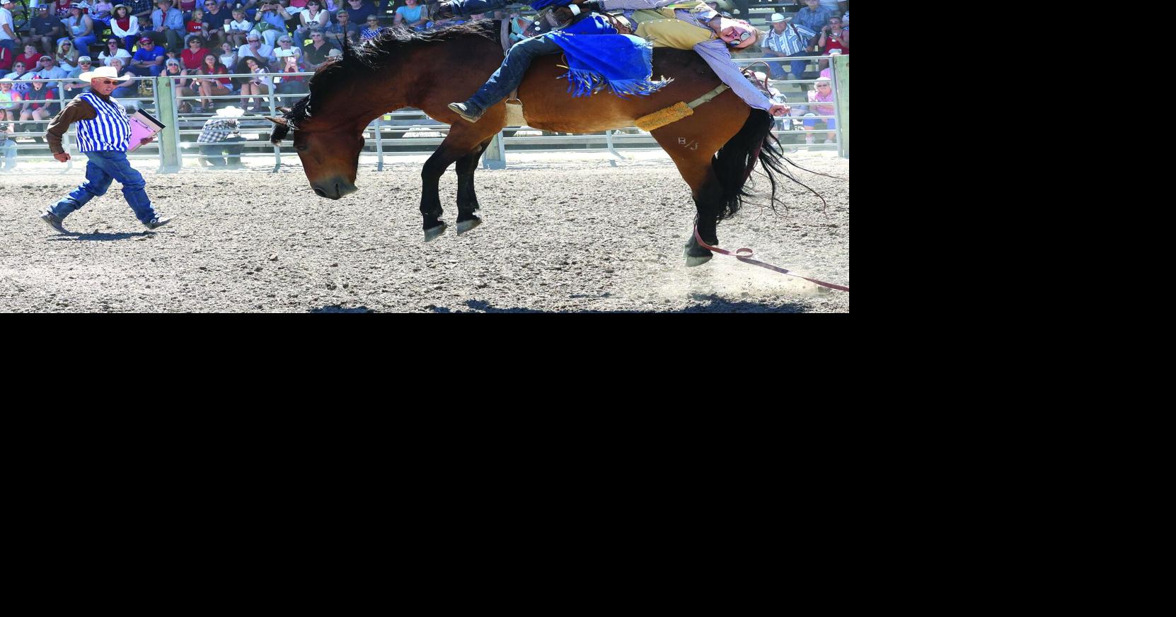 Attendance was solid for July 4 rodeo