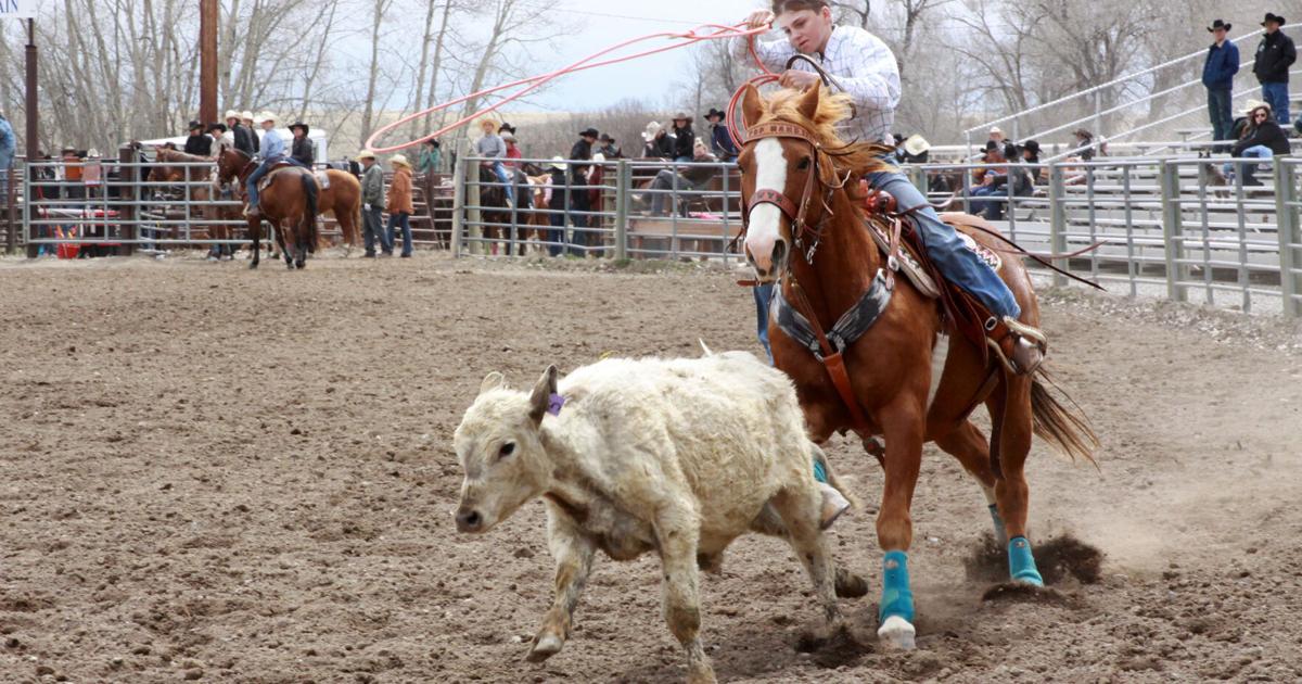 Montana High School Rodeo Association | | choteauacantha.com