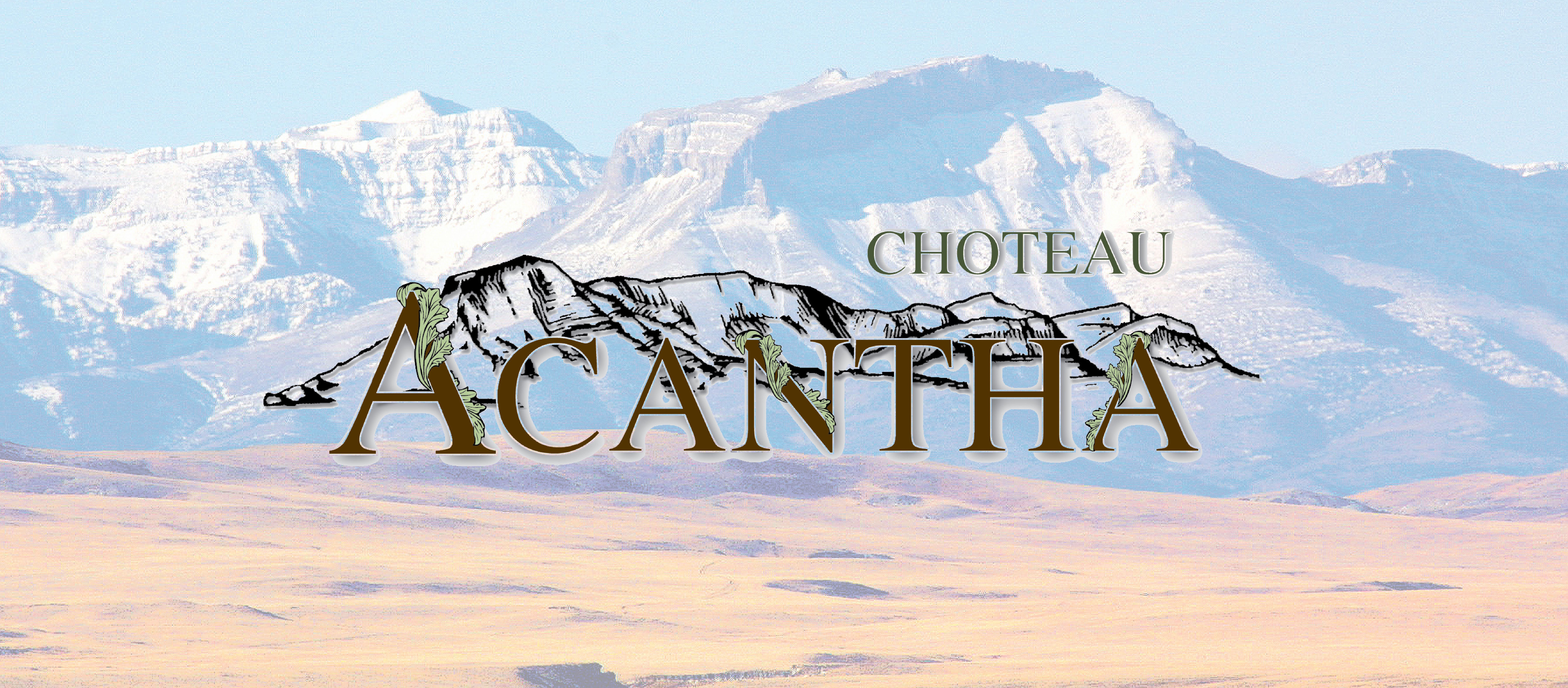 Choteau Acantha