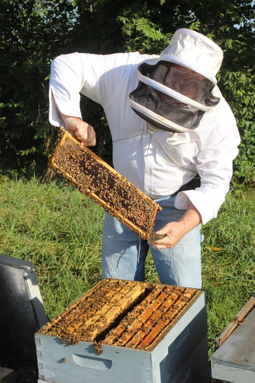 All the “buzzing” around town