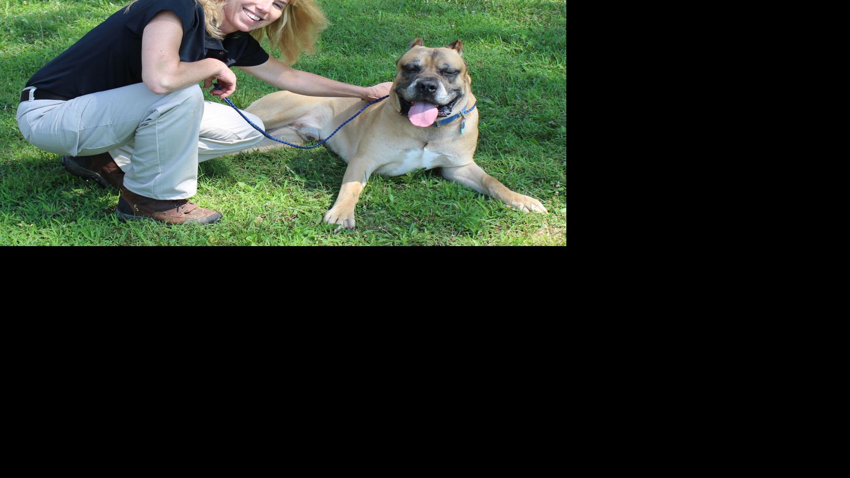 New Deputy Dog Warden steps in for the ones who need help News