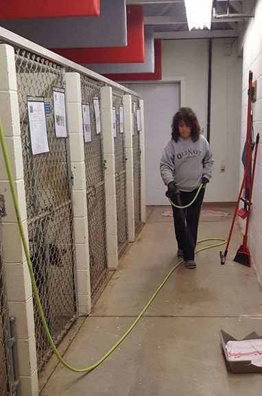 Shelter Volunteer of the Year: A 'rare' dedication to dogs | News