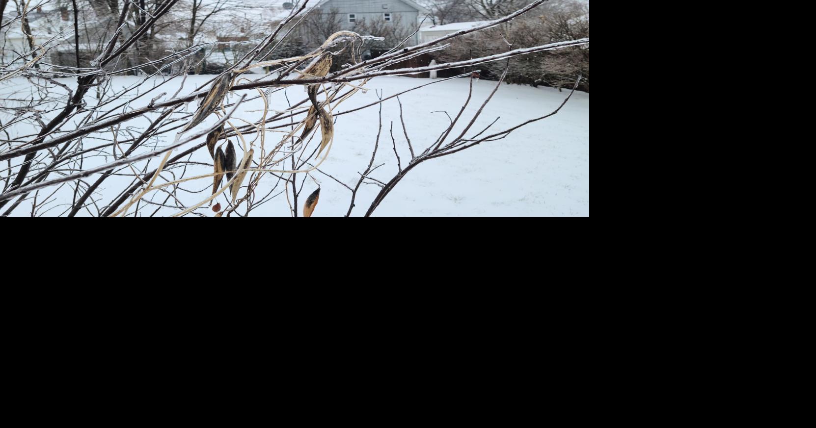 Pickaway County experiences all three levels of snow emergency News