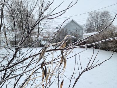 Pickaway County experiences all three levels of snow emergency | News ...