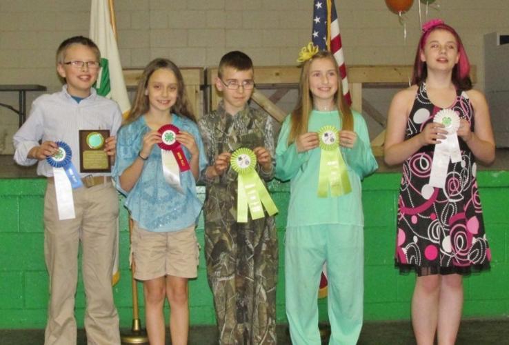 Hannah Runkle 4-H members win with communication skills | Community ...