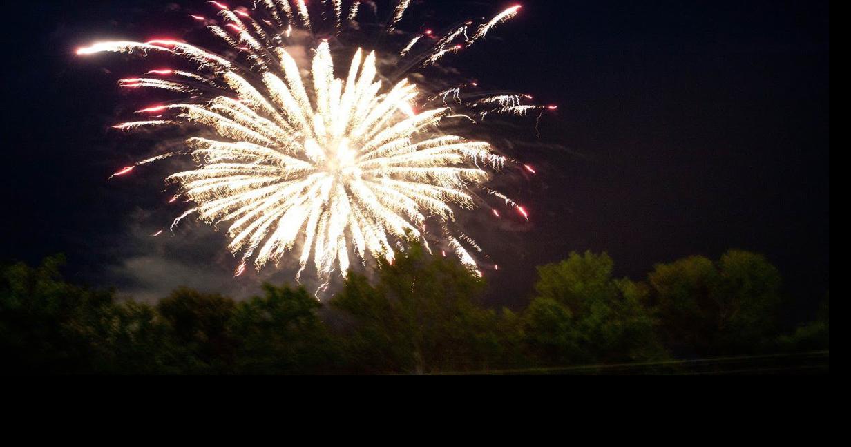 Fireworks safety applies to people and pooches News