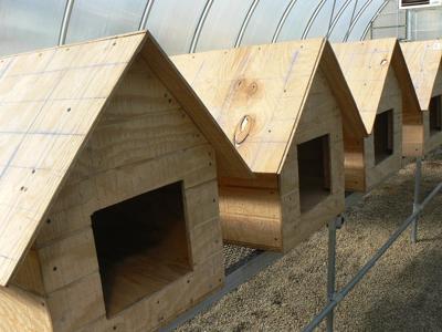 Dog houses donated to local shelter | News | circlevilleherald.com