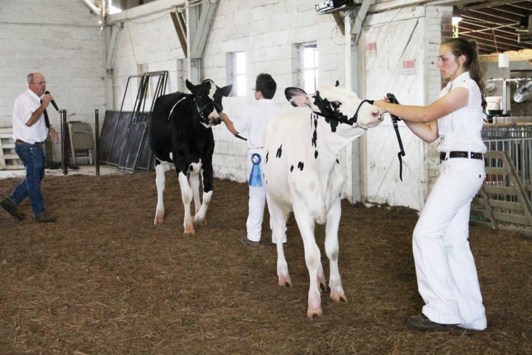 Fair Dairy Show Gallery