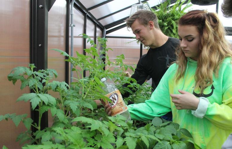 Greenhouse opens up whole new world to TV students News