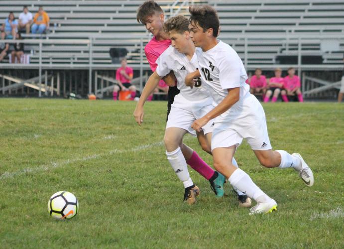 Vikings win weather-shortened match over Aces | Sports ...