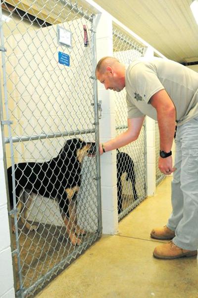 Organization helps meet needs of county dog shelter | News