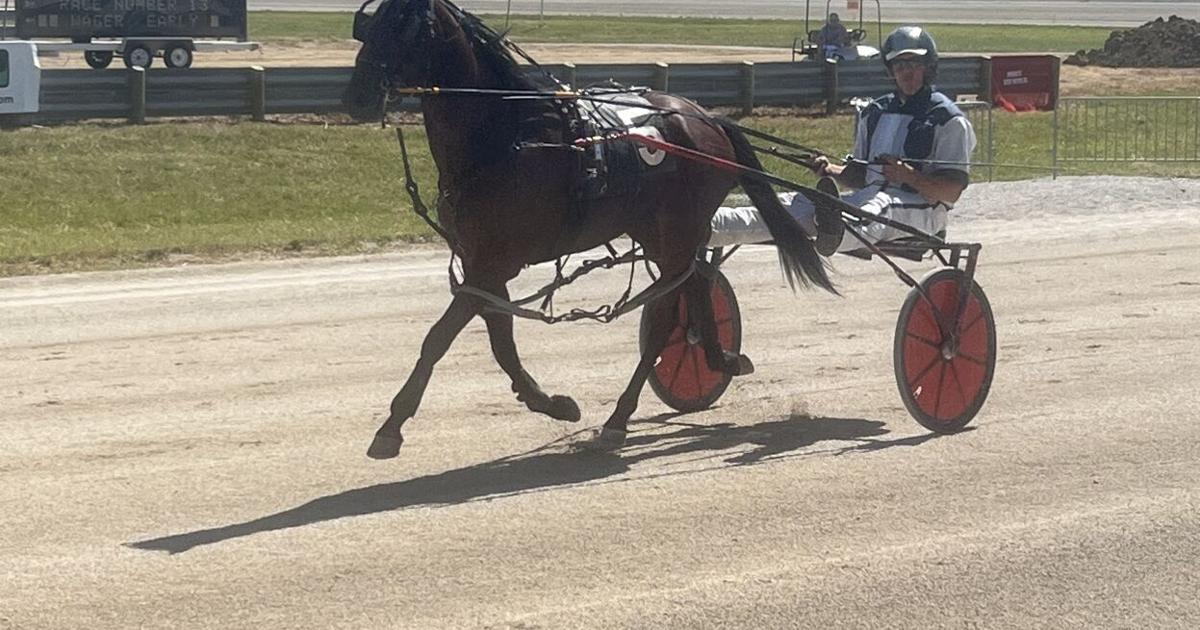 County Fair Harness Racing Wrap-up | Community | circlevilleherald.com