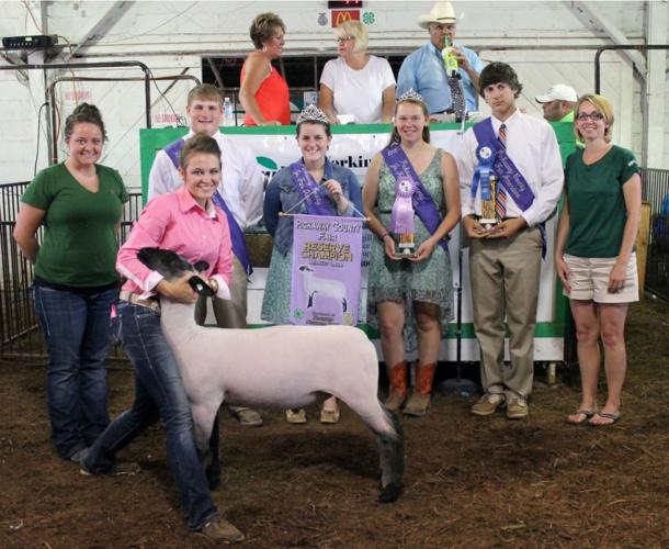 Livestock Sale Gallery