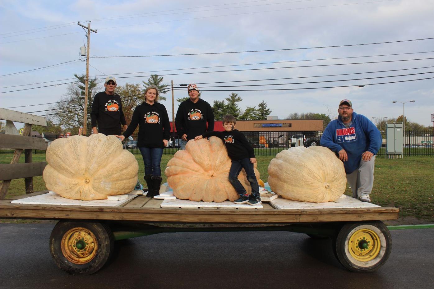 Three pumpkins in a row