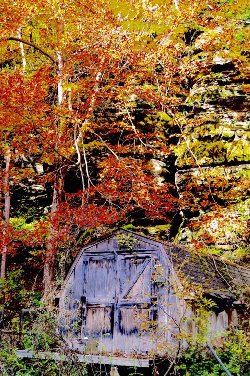 Dreamworld of autumn color