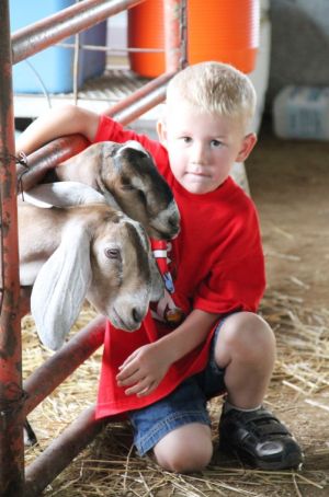 Kaiden Downing and goat Circleville circlevilleherald