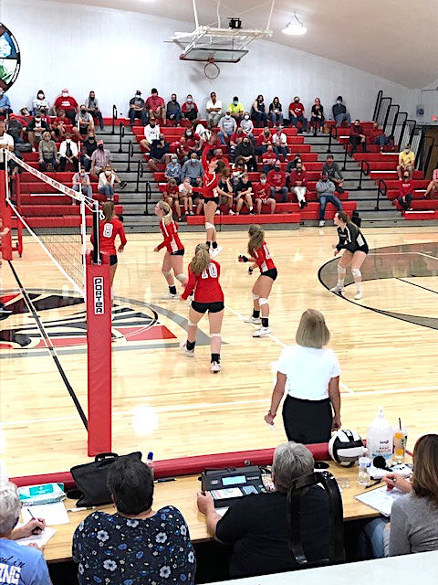 Mustangs volleyball in action
